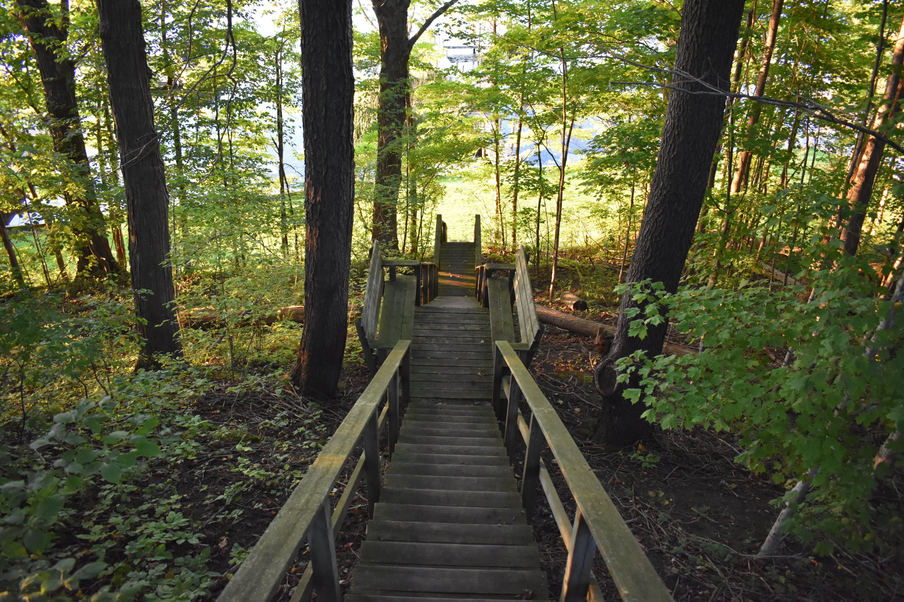 Wooden stairs winding through the trees toward Upper Hamlin Lake