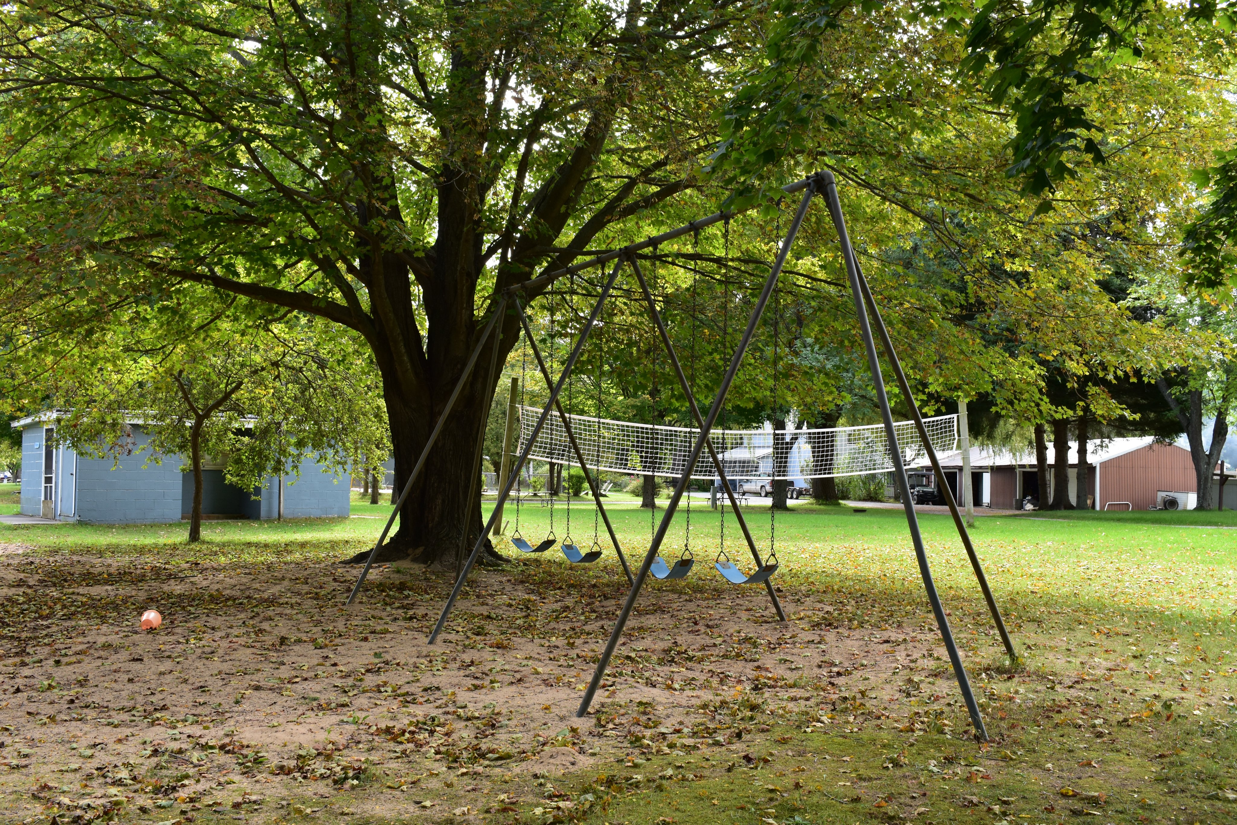 Swings and a volleyball net beneath large trees near a bathhouse