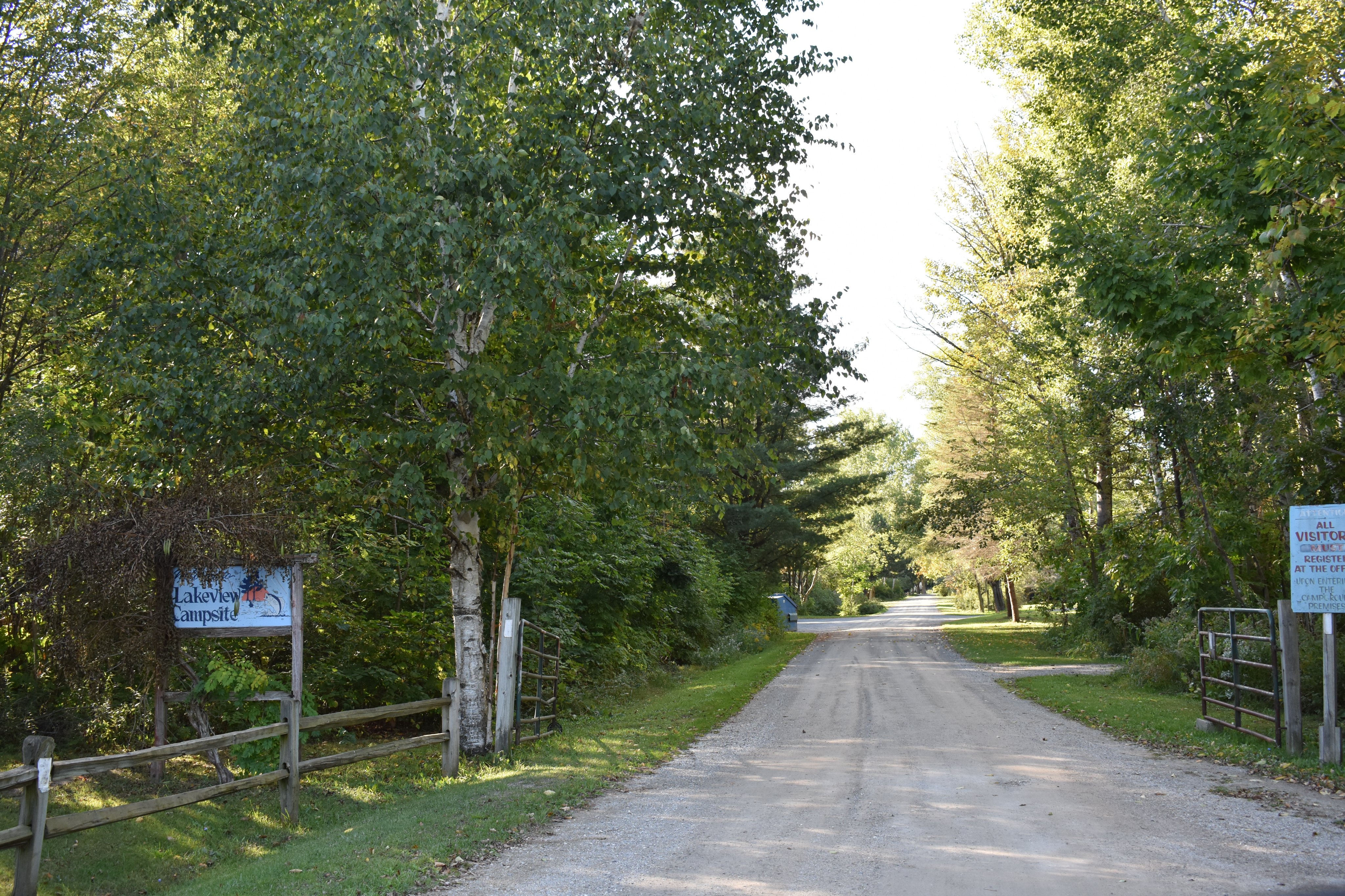 Wooded entrance road with the Lakeview Campsite sign